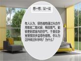 3.4.2呼吸作用课件----2024-2025学年北师大（2024版）七年级生物上册