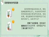 3.4.2呼吸作用课件----2024-2025学年北师大（2024版）七年级生物上册