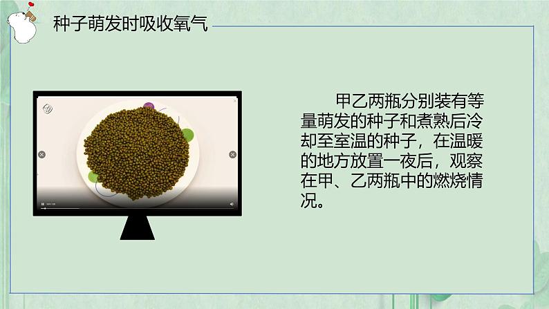 3.4.2呼吸作用课件----2024-2025学年北师大（2024版）七年级生物上册第7页