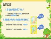 3.4.3 吸收作用 课件----2024-2025学年北师大（2024版）七年级生物上册