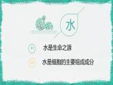 3.4.3 吸收作用 课件--2024-2025学年北师大（2024版）七年级生物上册