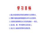 3.4.3 吸收作用 课件--2024-2025学年北师大（2024版）七年级生物上册