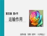 3.4.4  运输作用 课件-2024-2025学年北师大（2024版）七年级生物上册