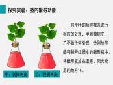 3.4.4  运输作用 课件-2024-2025学年北师大（2024版）七年级生物上册