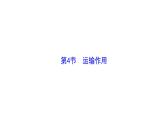 3.4.4 运输作用 课件)2024-2025学年生物北师版七年级上册