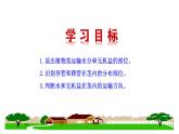 3.4.4 运输作用 课件)2024-2025学年生物北师版七年级上册