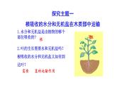 3.4.4 运输作用 课件)2024-2025学年生物北师版七年级上册