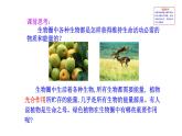 3.4.6 植物在生物圈中的作用 课件--2024-2025学年北师大（2024版）七年级生物上册