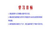 3.4.6 植物在生物圈中的作用 课件--2024-2025学年北师大（2024版）七年级生物上册