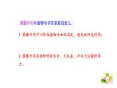 3.4.6 植物在生物圈中的作用 课件--2024-2025学年北师大（2024版）七年级生物上册