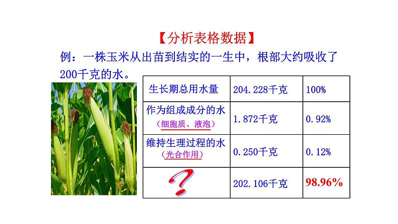 3.4.6植物在生物圈中的作用第6页