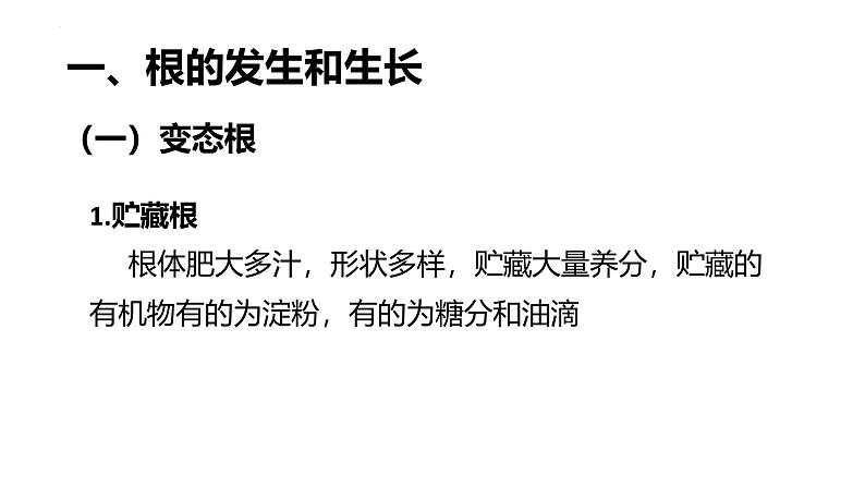 3.5.2营养器官的生长课件---2024-2025学年北师大（2024版）七年级生物上册第4页