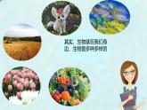 开学第一课《走进生命世界》课件--2024-2025学年北师大（2024版）七年级生物上册