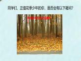 开学第一课《走进生命世界》课件--2024-2025学年北师大（2024版）七年级生物上册