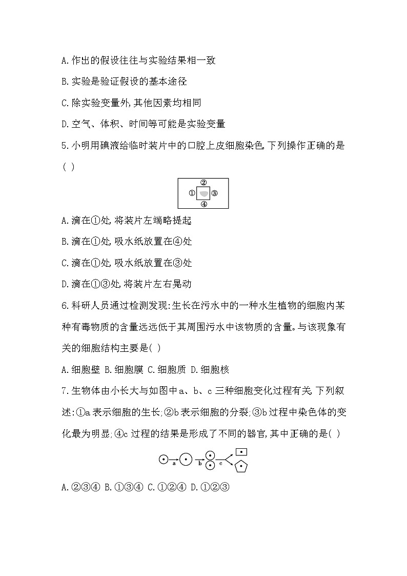 北师大版（2024新版）七年级上册生物期末学情调研测试卷（含答案）02