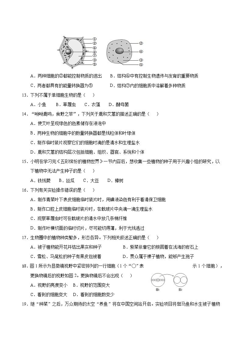 苏教版（2024新版）七年级上册生物期中学情调研测试卷（含答案）第3页