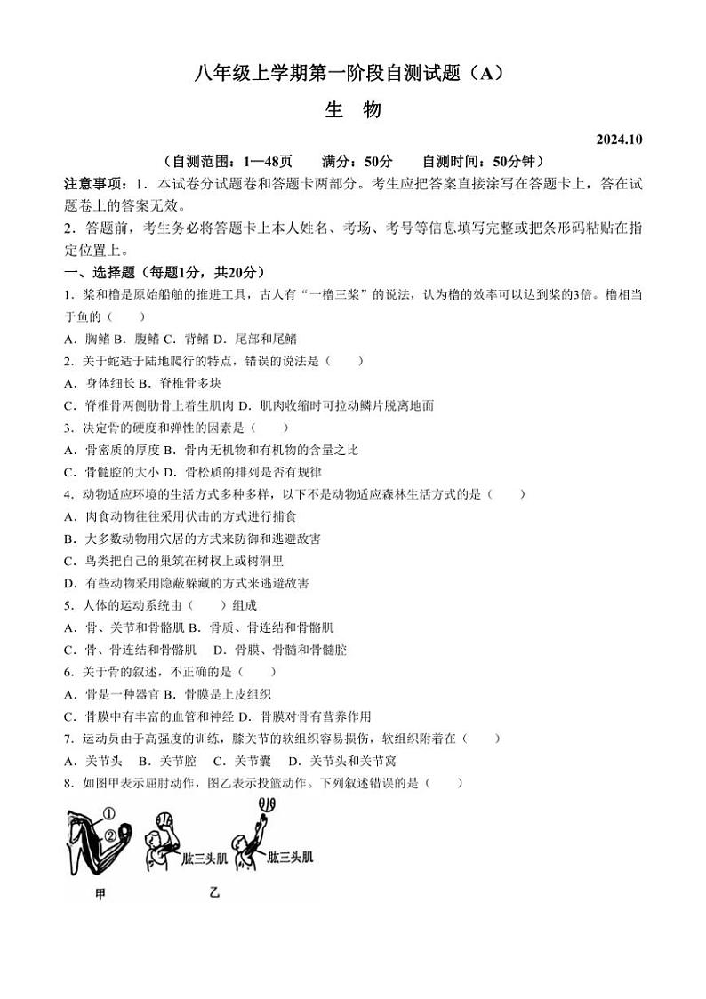 [生物]河南省安阳市滑县2024～2025学年八年级上学期10月月考试题(有答案)第1页