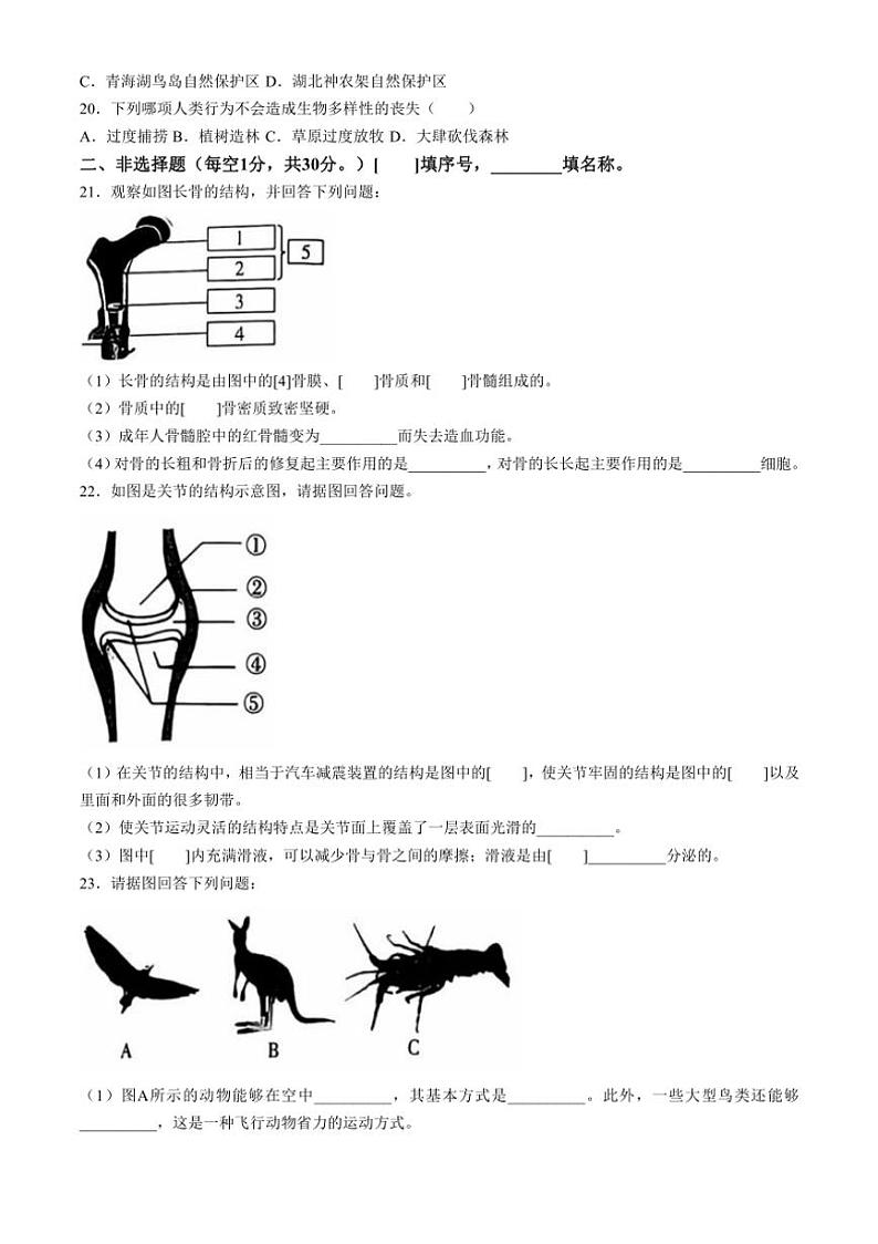 [生物]河南省安阳市滑县2024～2025学年八年级上学期10月月考试题(有答案)第3页