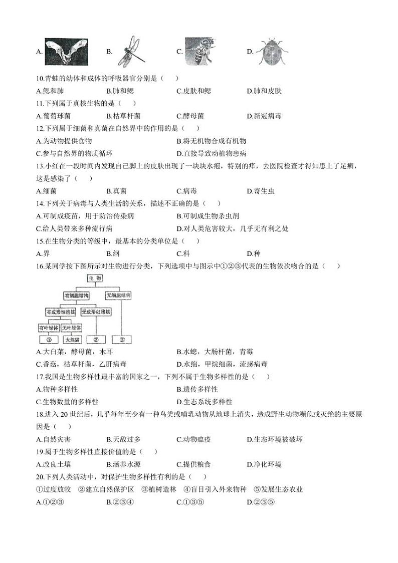 [生物]河南省周口市太康县2024～2025学年八年级上学期10月月考试题(有答案)02