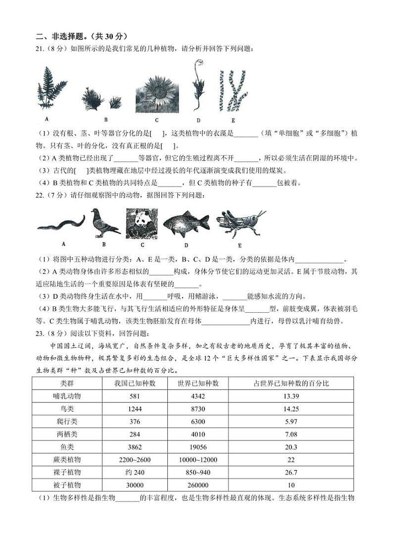 [生物]河南省周口市太康县2024～2025学年八年级上学期10月月考试题(有答案)03