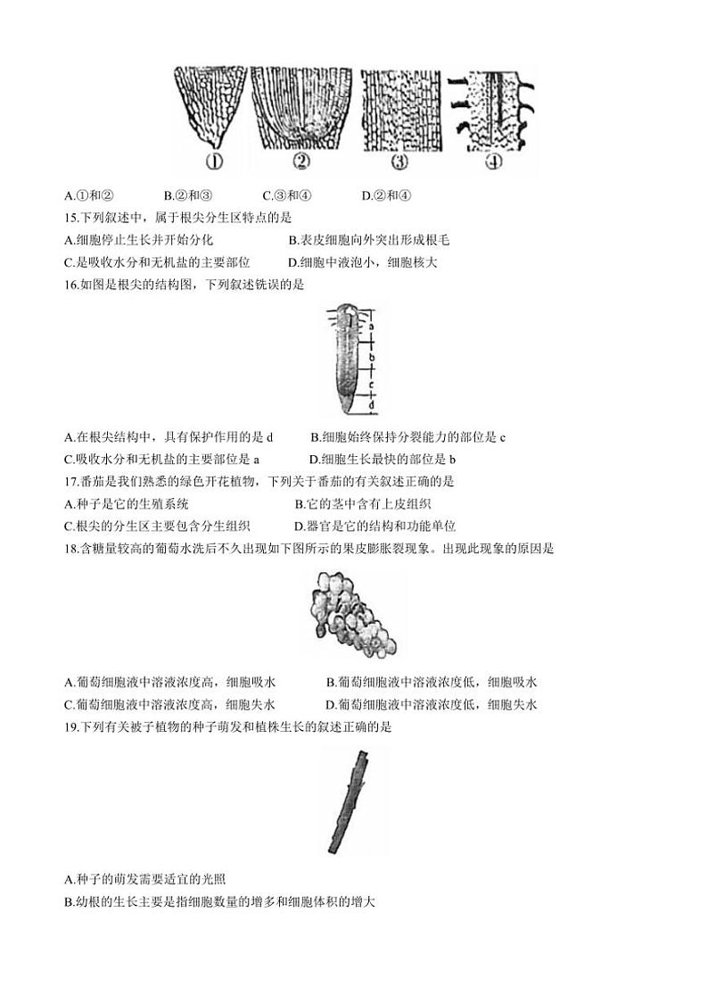 [生物]河北省邢台市南宫市2024～2025学年八年级上学期10月月考试卷(有答案)第3页