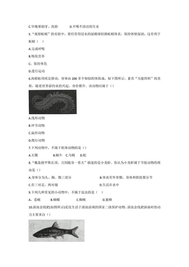 [生物]云南省曲靖市麒麟区第四中学2024～2025学年八年级上学期10月份第一次月考学试卷(有答案)第2页