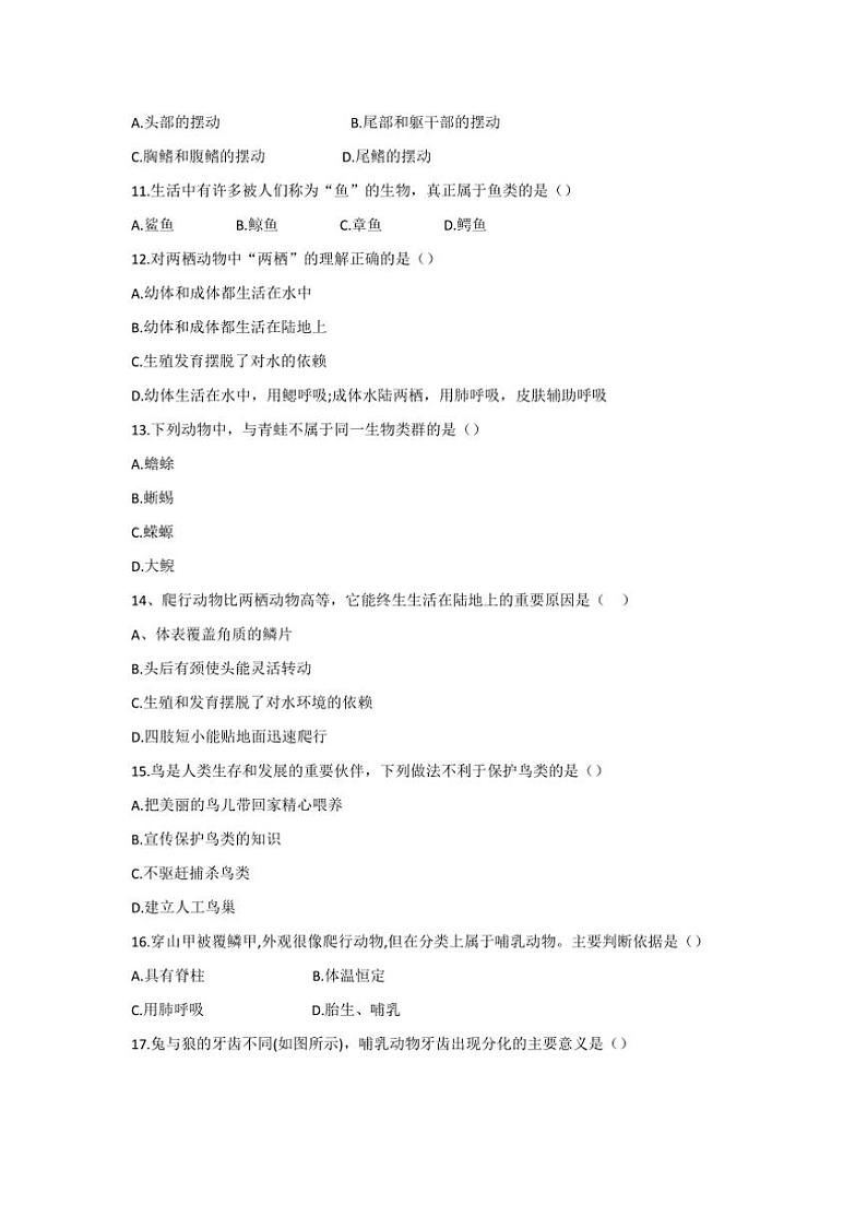 [生物]云南省曲靖市麒麟区第四中学2024～2025学年八年级上学期10月份第一次月考学试卷(有答案)第3页