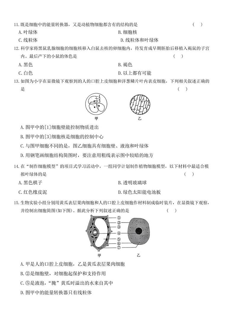 [生物]湖南省岳阳市岳阳县经济技术开发区长岭中学2024～2025学年七年级上学期10月月考试题(有答案)第3页