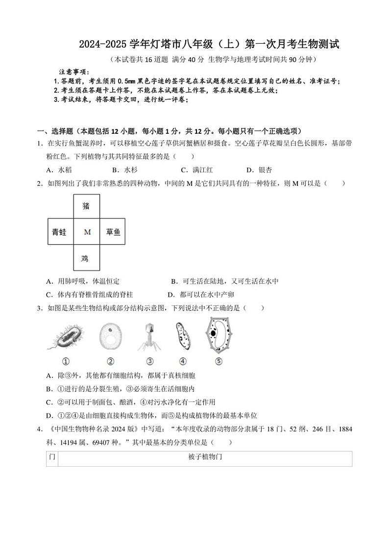 [生物]辽宁省辽阳市灯塔市2024～2025学年八年级上学期10月月考试题(有答案)01