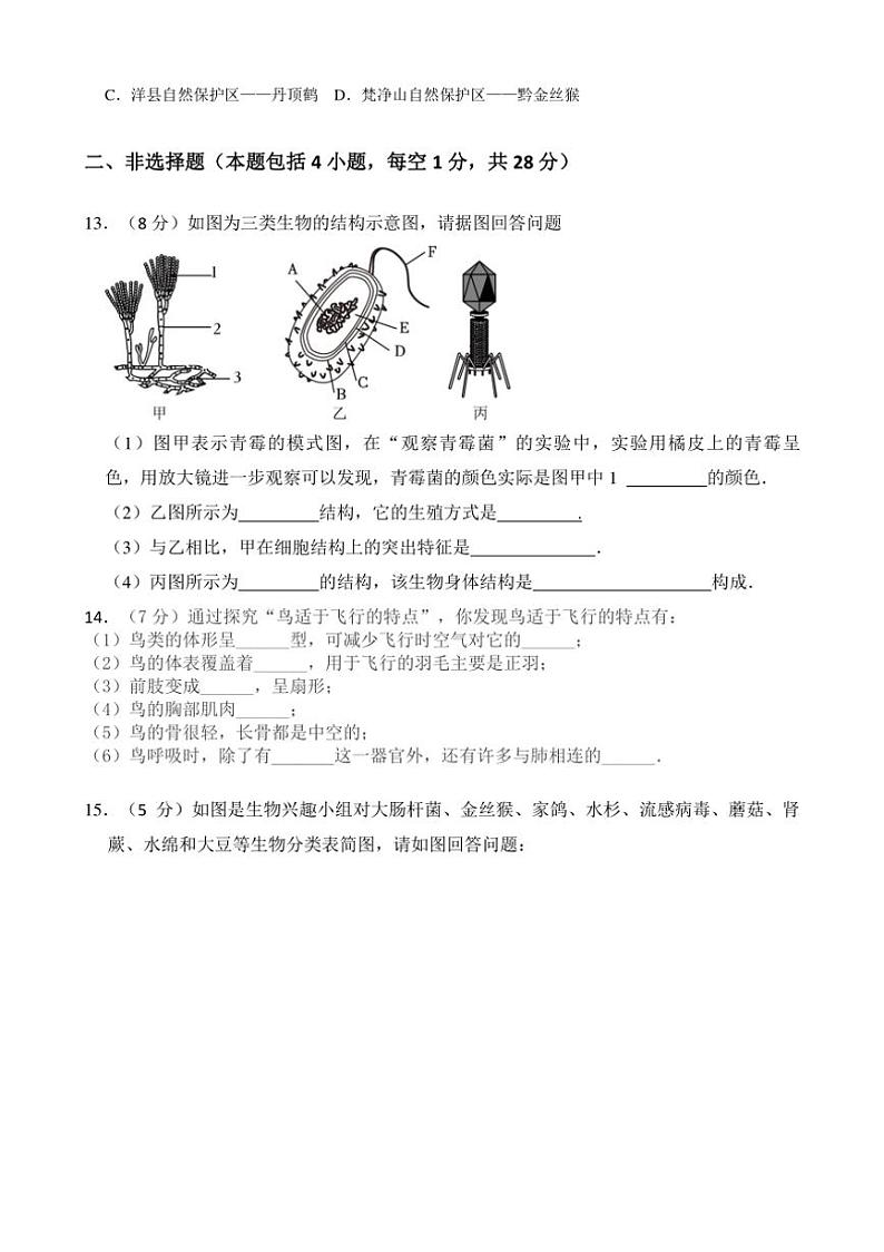 [生物]辽宁省辽阳市灯塔市2024～2025学年八年级上学期10月月考试题(有答案)03