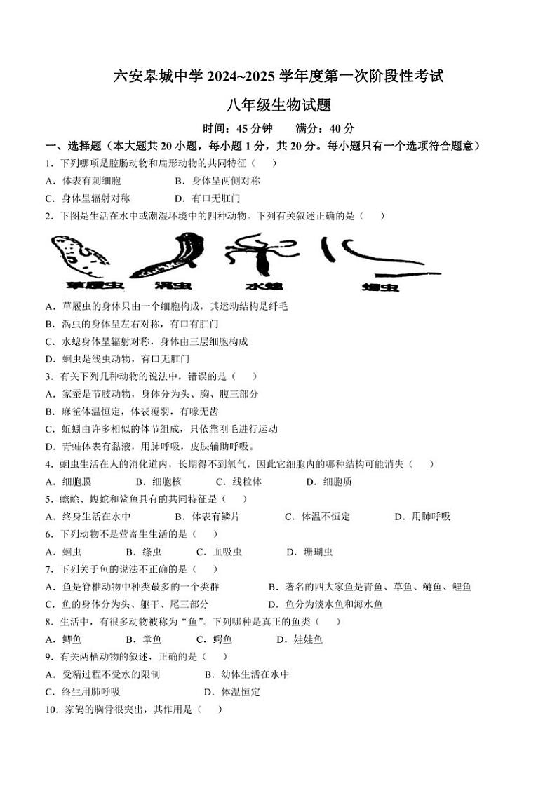 [生物]安徽省六安市金安区六安皋城中学2024～2025学年八年级上学期10月月考试题(有答案)第1页