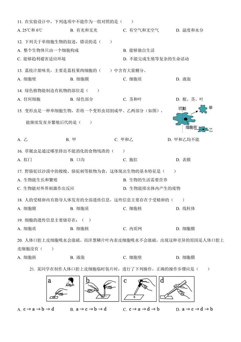 [生物]广东省揭阳市揭西县五校联考2024～2025学年七年级上学期第一次月考考试试题(有答案)02