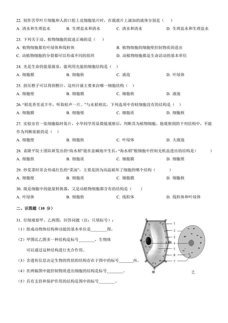 [生物]广东省揭阳市揭西县五校联考2024～2025学年七年级上学期第一次月考考试试题(有答案)03