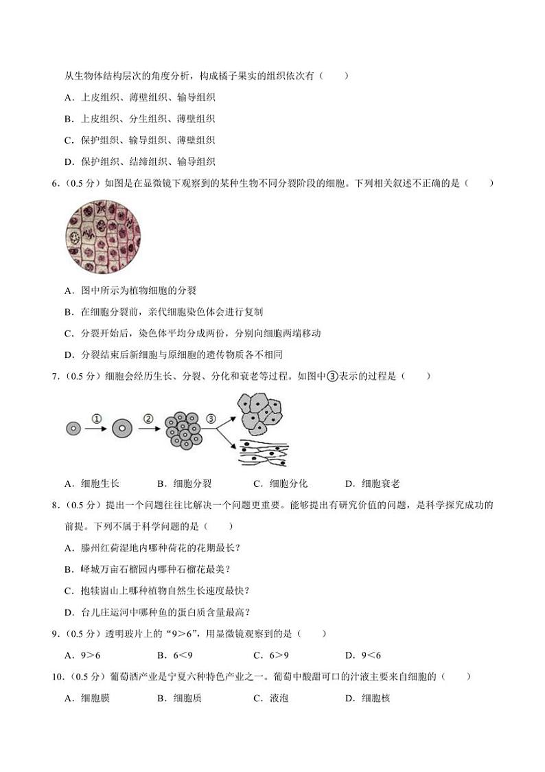 [生物]江苏省盐城市东台市第五联盟2024～2025学年七年级上学期9月份月考试卷(有解析)02