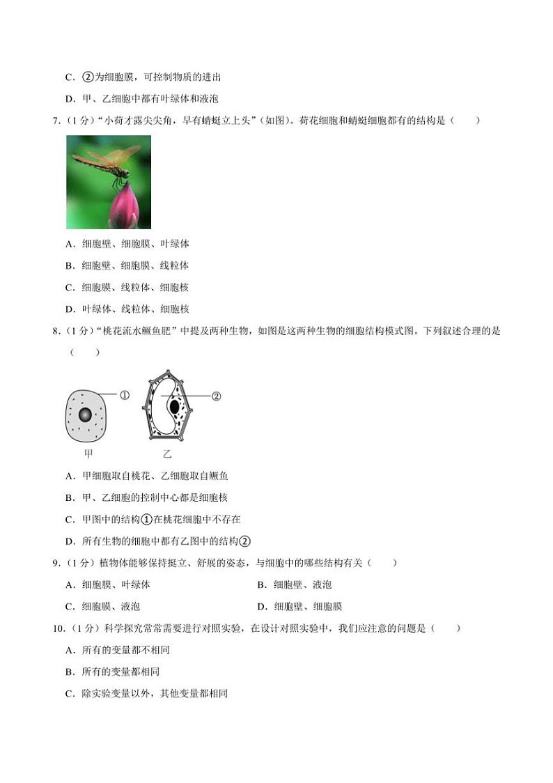 [生物]辽宁省沈阳市培英中学2024～2025学年七年级上学期月考试卷(有解析)02