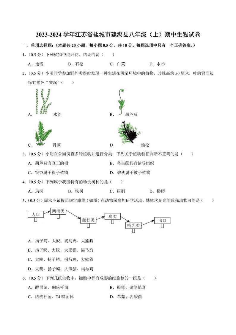 [生物]江苏省盐城市建湖县2023～2024学年八年级上学期期中试卷(有解析)第1页