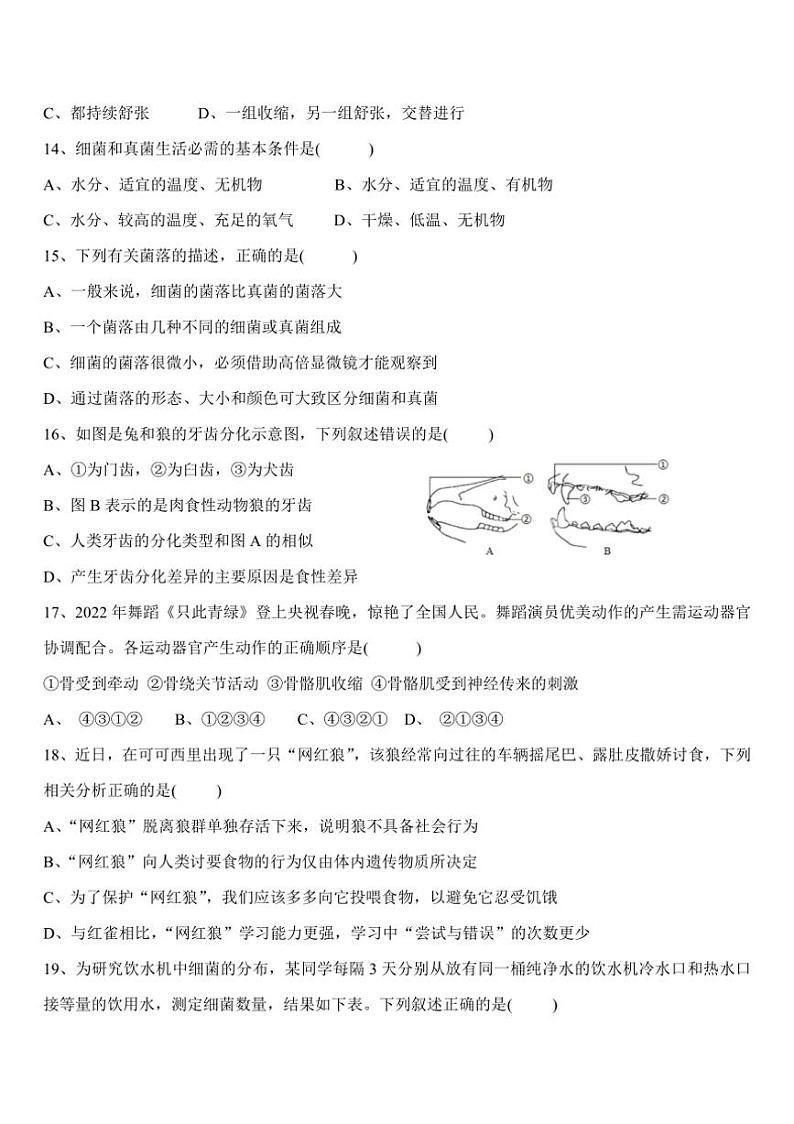 [生物]四川省自贡市蜀光绿盛实验学校2024～2025学年八年级上学期10月月考试题(有答案)第3页