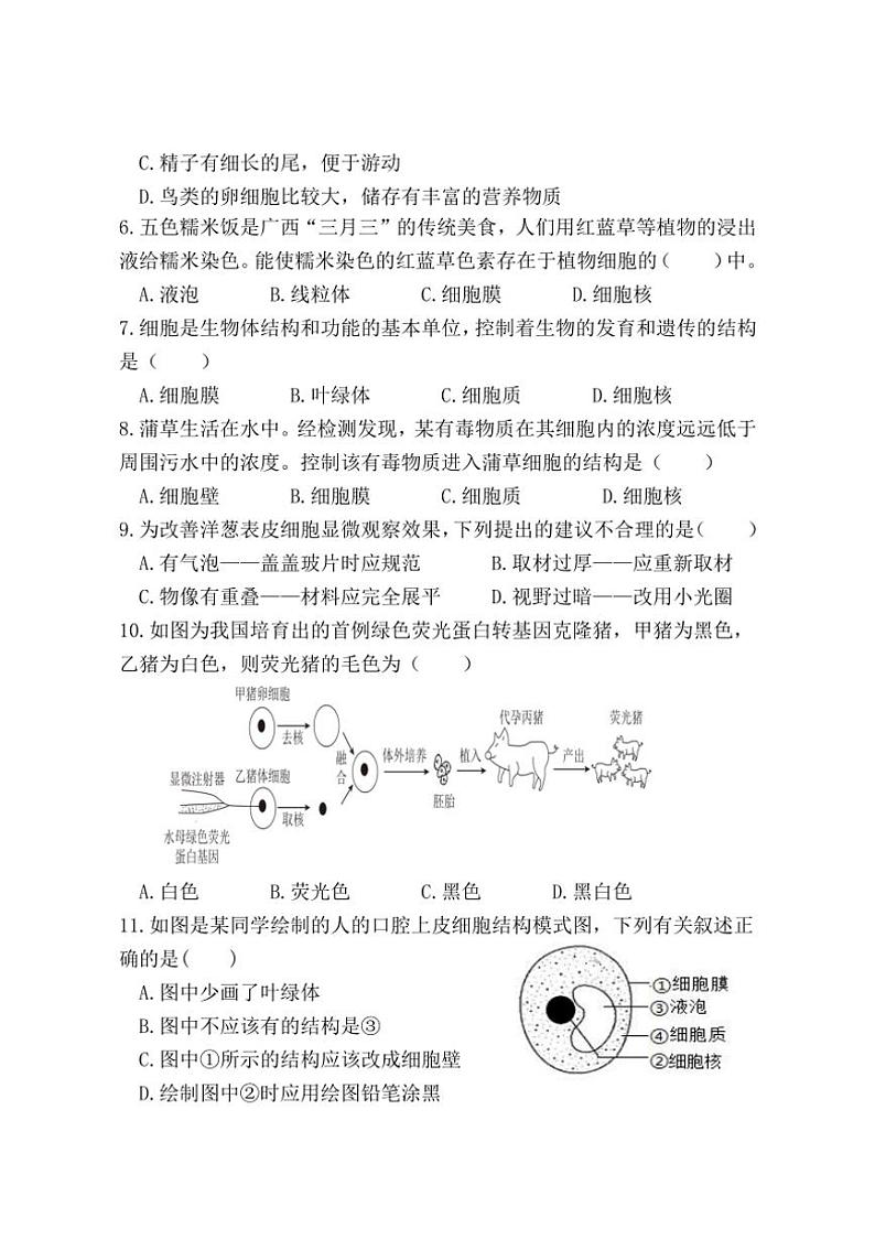 [生物]广西防城港市上思县2024～2025学年七年级上学期学习成果监测(一)月考(有答案)第2页