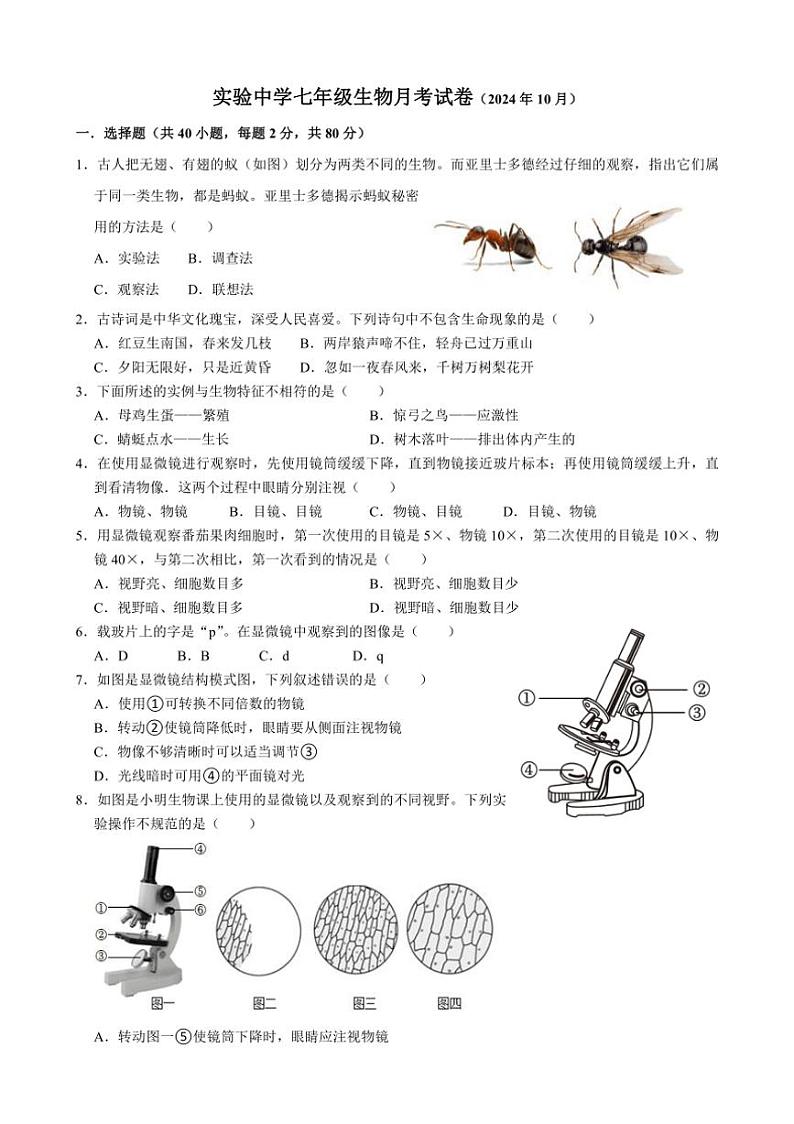 [生物]山东省临沂市沂水县沂水实验中学2024～～2025学年七年级上学期10月月考试卷(有答案)第1页