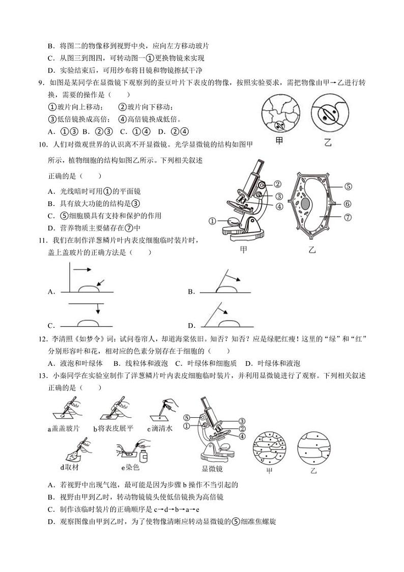 [生物]山东省临沂市沂水县沂水实验中学2024～～2025学年七年级上学期10月月考试卷(有答案)第2页