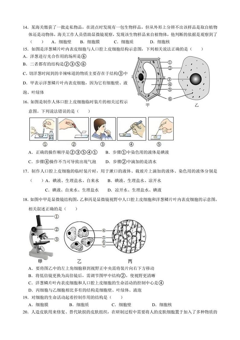 [生物]山东省临沂市沂水县沂水实验中学2024～～2025学年七年级上学期10月月考试卷(有答案)第3页