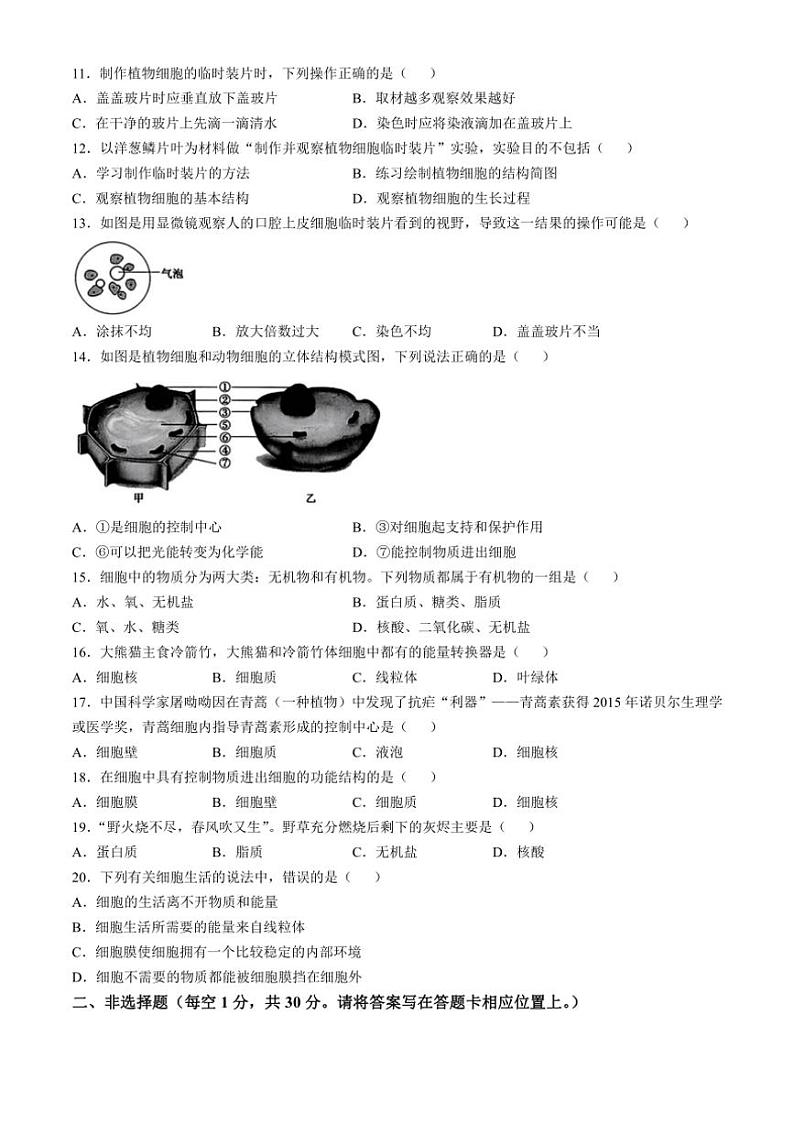 [生物]河南省信阳市平桥区2024～2025学年七年级上学期10月月考试题(有答案)02