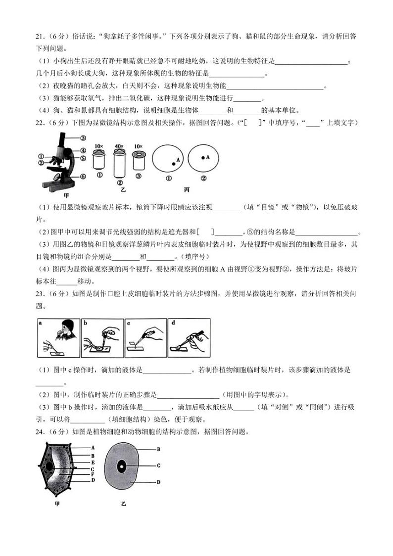 [生物]河南省信阳市平桥区2024～2025学年七年级上学期10月月考试题(有答案)03