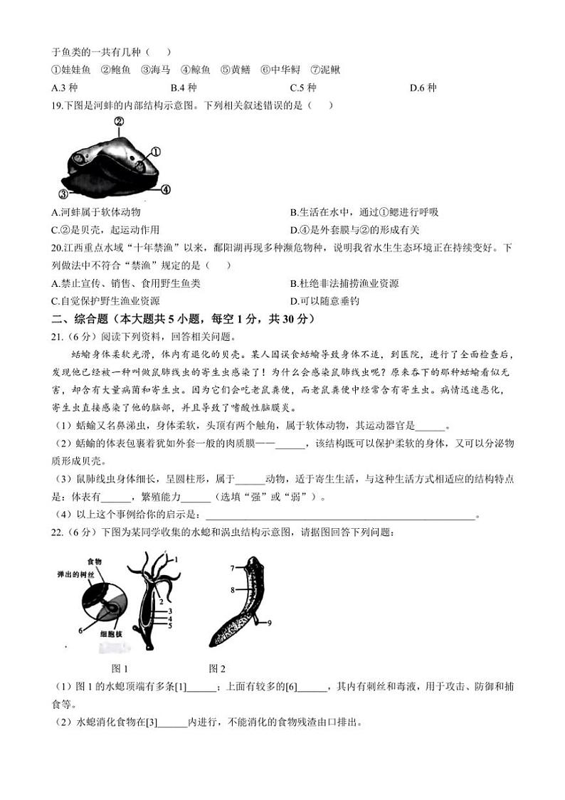 [生物]江西省鹰潭市余江区正源学校2024～2025学年八年级上学期10月月考试题(有答案)第3页