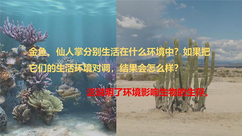 1.1.2生物与环境的相互影响复习课件----2024-2025学年北师大（2024版）七年级生物上册第3页