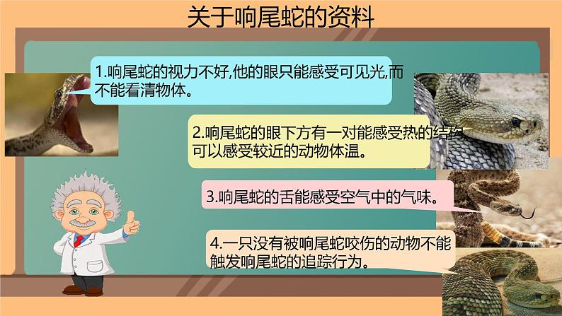 1.1.2生物学是探索生命的科学 课件 -2024-2025学年北师大（2024版）七年级生物上册06