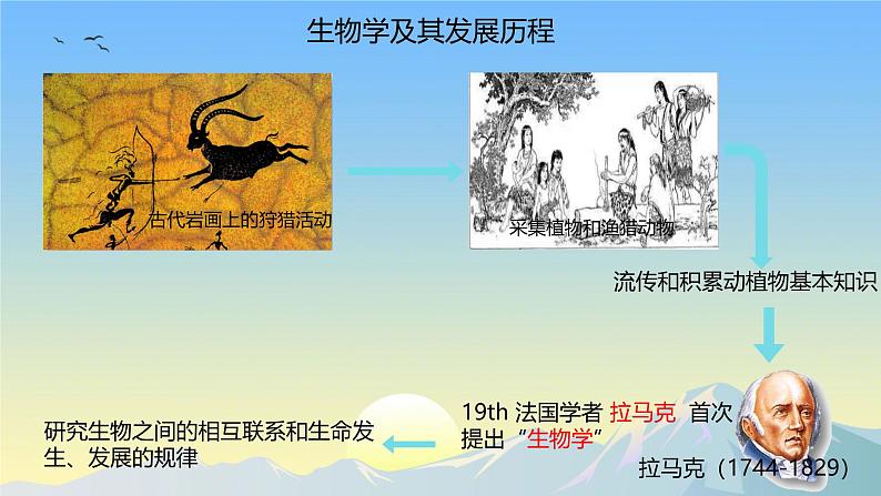 1.1.2生物学是探索生命的科学 课件----2024-2025学年北师大（2024版）七年级生物上册第7页