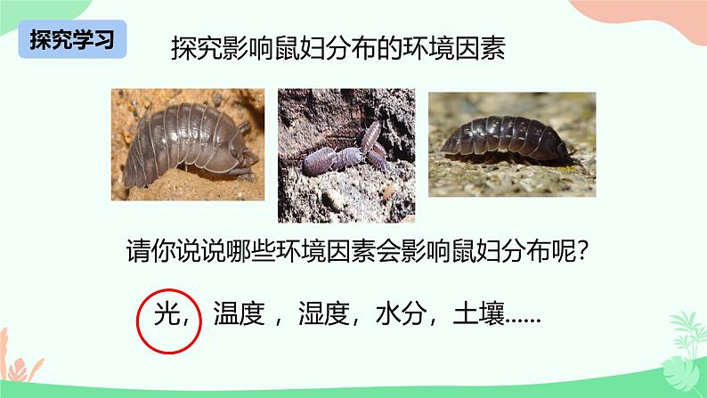 1.1.2生物学是探索生命的科学课件----2024-2025学年北师大（2024版）七年级生物上册第7页