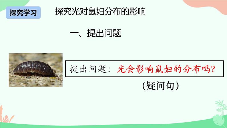 1.1.2生物学是探索生命的科学课件----2024-2025学年北师大（2024版）七年级生物上册第8页
