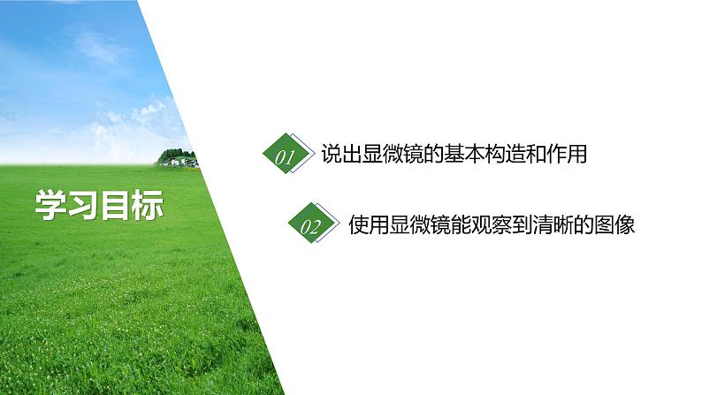 2.1.1 光学显微镜 课件----2024-2025学年北师大（2024版）七年级生物上册02